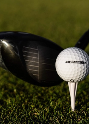 CALLAWAY Golfball Warbird Distance